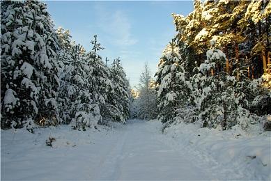 打包敷衍了事 多位玩家收到《最后的生还者：重制版》萤火虫版后发现包装破损