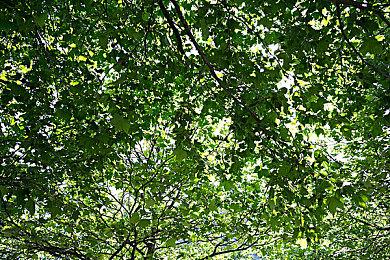 《回收中心模拟器》序章免费发布 学习垃圾回收生意