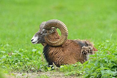 《死或生：女神假期》玲夏生日宣传片 身材太火辣